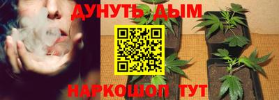 каннабис Гатчина